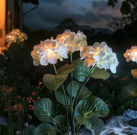 Hydrangea Garden Light