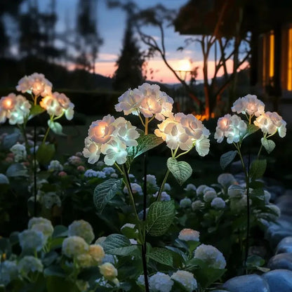 Hydrangea Garden Light